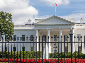 The White House